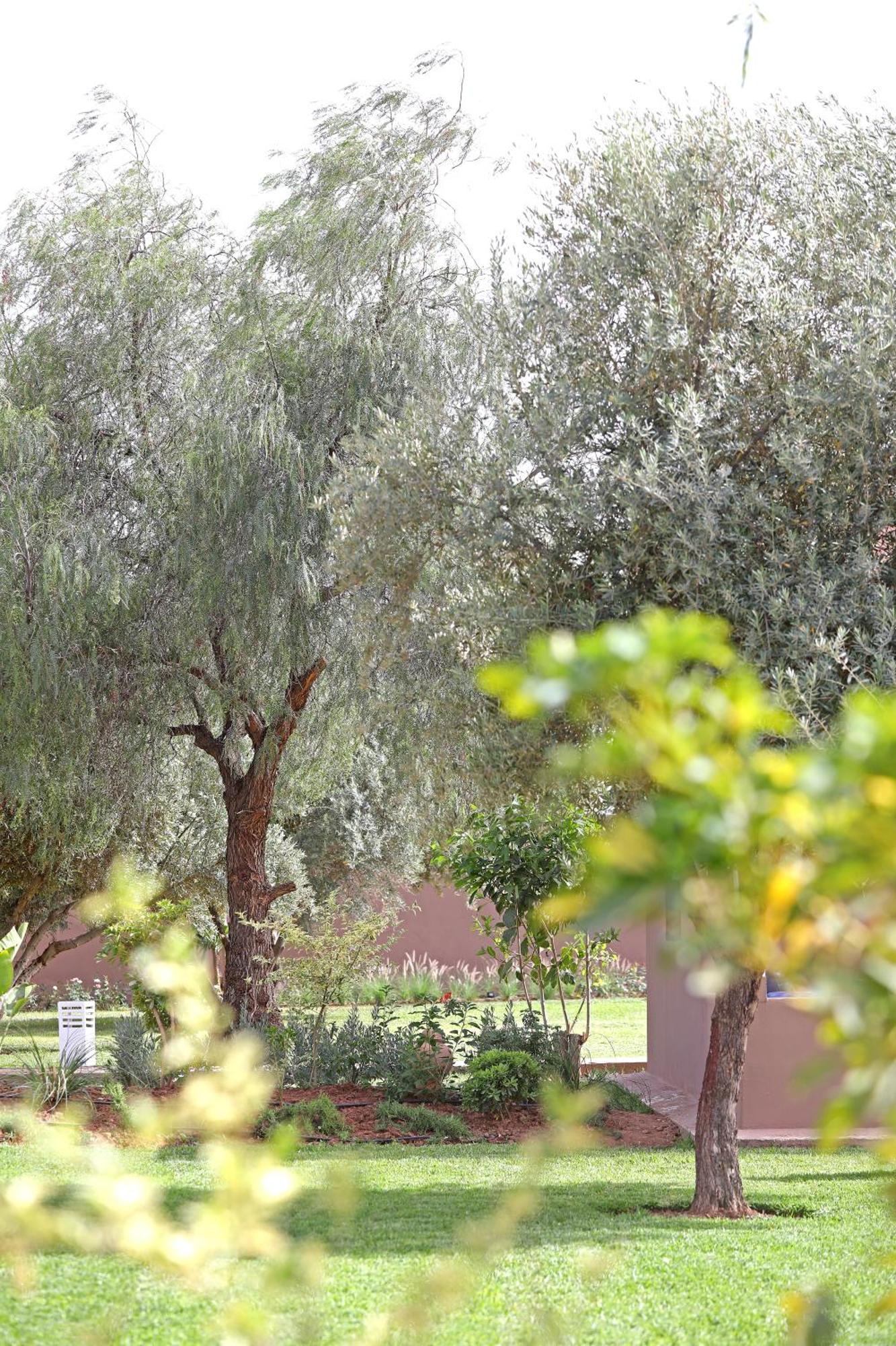 Hotel Domaine Du Douar Chwiter Esterno foto